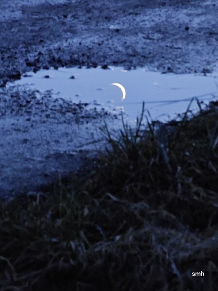 File:Moon on earth20250102 165517.jpg