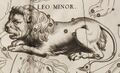 Leo Minor in Hevelius's defining map (1687)