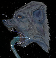 Thumbnail for version as of 15:11, 24 March 2026