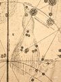 Apus in Bayer (1603).