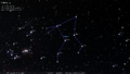 (1988) O. Hlad's stick figure of Lepus