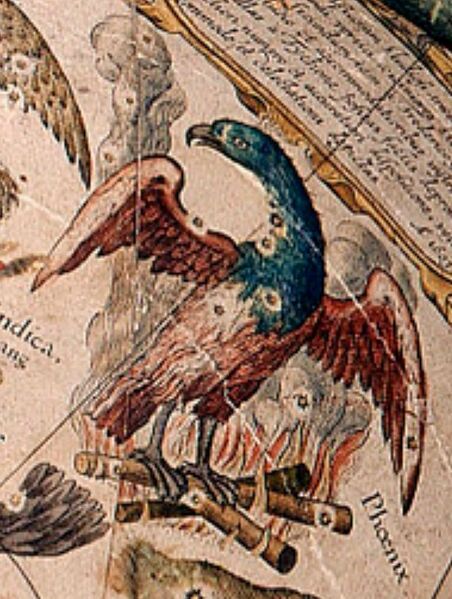 File:Blaeu1603 Phe.JPG