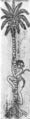 Lintang Kalapa Sunde (CC-BY Alfred Maaß, (1929), Astrologische Kalender der Balinesen)