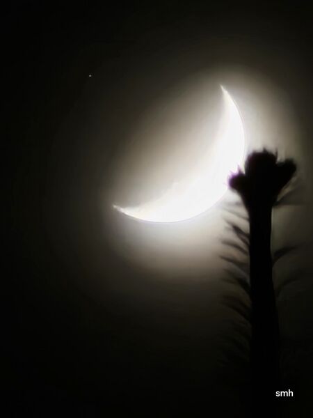 File:Saturn+Moon 20250104 182654.jpg
