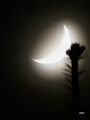 Saturn at the upper (dark) edge of the Moon on January 4, 2025, short before its occultation. It is obvious that Saturn is visible even with a slightly cloudy/ foggy sky.