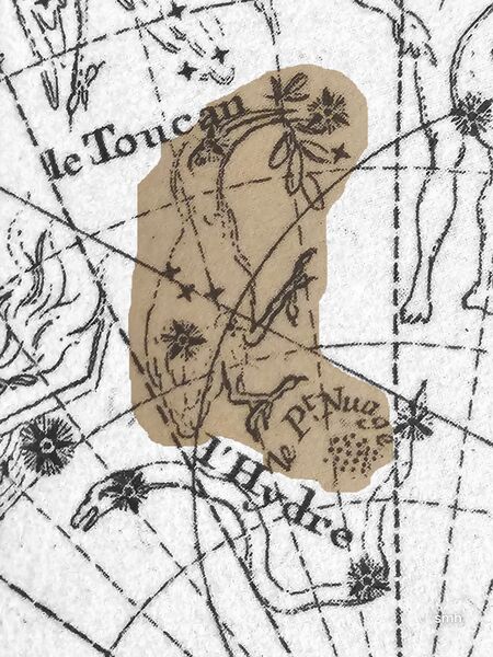 File:Toucan Fortin1775-1795.jpg