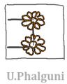 Uttara Phalguni, 10th century CE