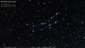 (1952) H.A. Rey's stick figure of Delphinus
