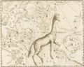 Cam in Hevelius (1690).