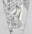Paradysvogel in Plancius (1598)