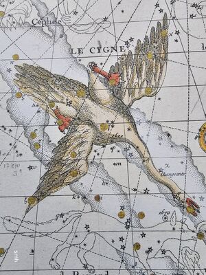 Cyg Fortin1795.jpg