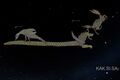 the lonely star in front of the dragon-head (Procyon) rised simultaneously with the faint stars of The Crab in ancient Babylon. Procyon and the head / foot of the dragon may serve as a replacement for Cancer