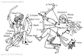 Thumbnail for version as of 07:27, 26 March 2026