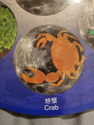 MoonCrab HK2024.jpeg