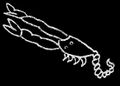 Scorpius on the Mainz Globe (2nd c. CE), drawing by SMH 2021