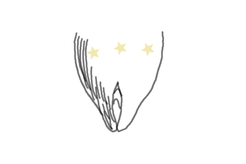 File:2 Bharani draw.png