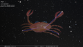 Thumbnail for version as of 06:55, 20 September 2025