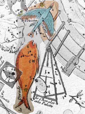 Dor+Vol+Pic Fortin1795 dor+volHi.jpg