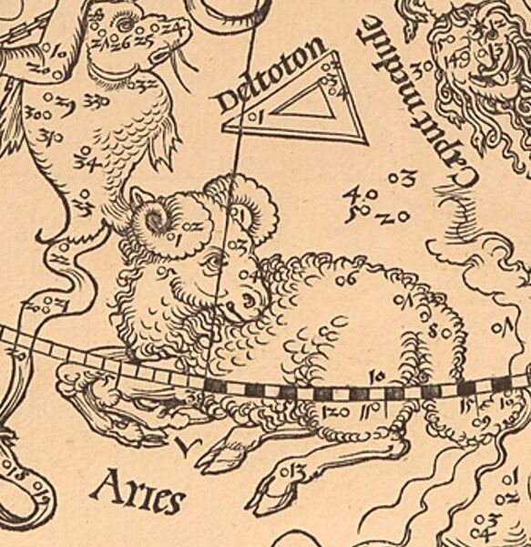 File:Tri Duerer.JPG