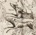 CVn in Hevelius (1687)