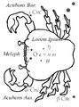 Thumbnail for version as of 15:18, 3 February 2026