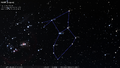 (1952) H.A. Rey's stick figure of Lepus
