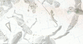 Thumbnail for version as of 20:24, 4 April 2025