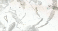 Thumbnail for version as of 22:04, 4 April 2025