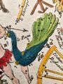 Pavo in Fortin's Atlas Céleste, 3rd edition (1795).