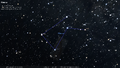 (1988) O. Hlad's stick figure of Musca