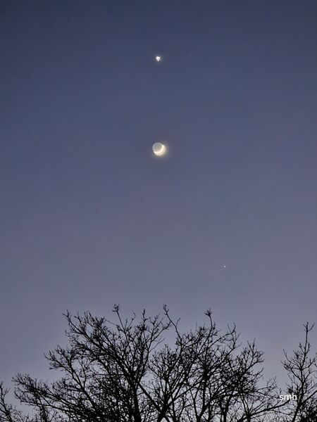 File:20250201 175858.jpg