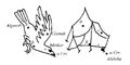 Thumbnail for version as of 18:00, 18 April 2026