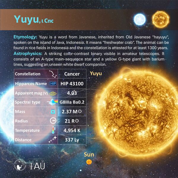 File:Yuyu profileCard SadeghFaghanpour-IAU-WGSN.jpg