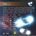 Gaja profile Card (CC BY Sadegh Faghanpour for IAU-WGSN).