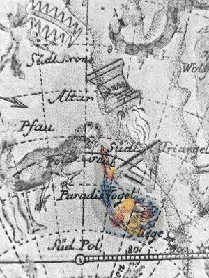Apus Bode1782 hi.jpg