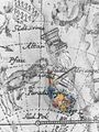 Apus in Bode (1782), German: Paradisvogel.