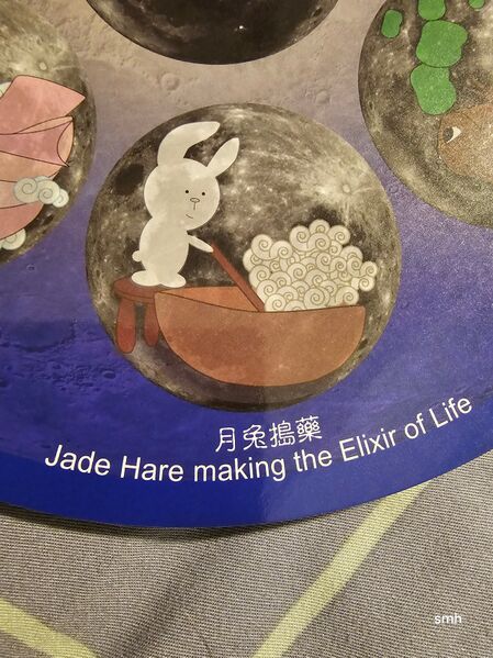File:JadeHase smh2024.jpeg