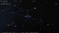 H.A. Rey's stick figure of Taurus (1952)