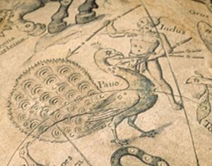 Blaeu1602 Ind+Pav.JPG