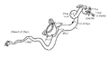 Thumbnail for version as of 15:18, 3 February 2026