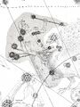 Indus in Bayer (1603)