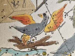 Phe Fortin1795.jpg