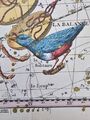 Solitaire depicted in Fortin's Atlas Céleste, 3rd edition (1795)