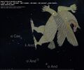 Heel of UD.KA.DU8.A in Stellarium
